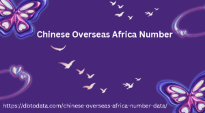 Chinese Overseas Africa Number